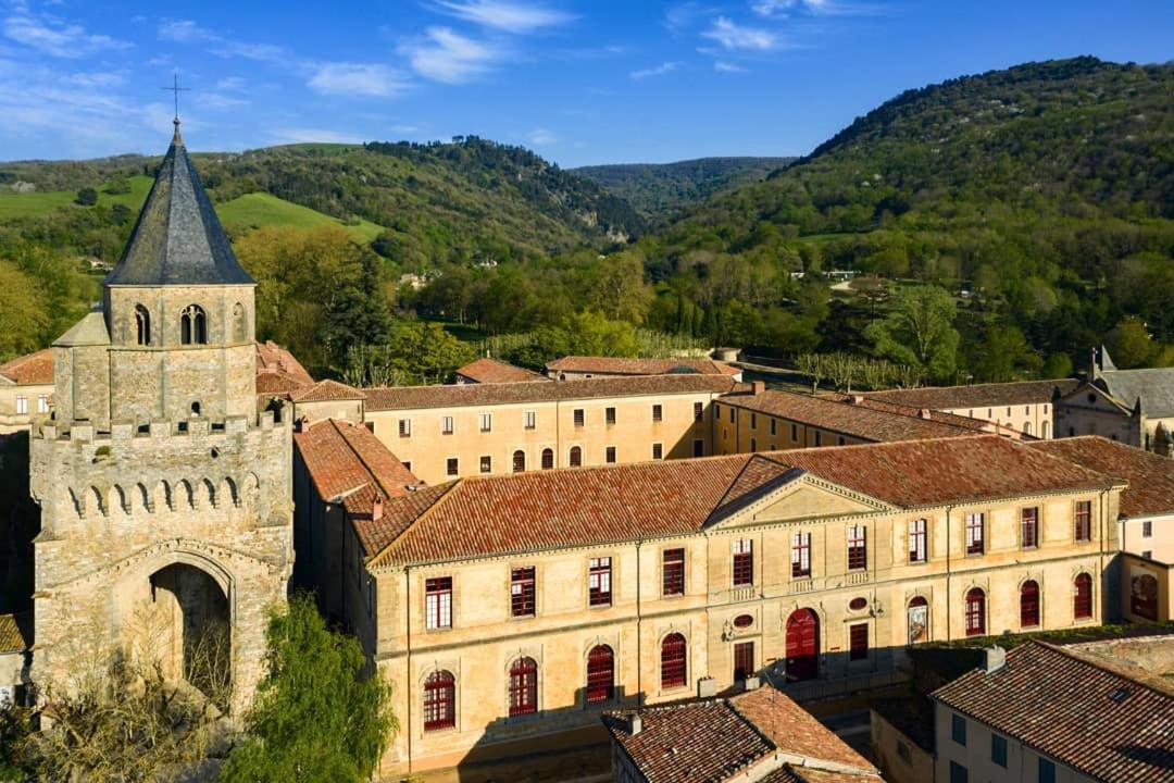Les Jardins D'Oc - Wifi, Terrasse Et Jardinet - Appart T2 Neuf Soual Bagian luar foto
