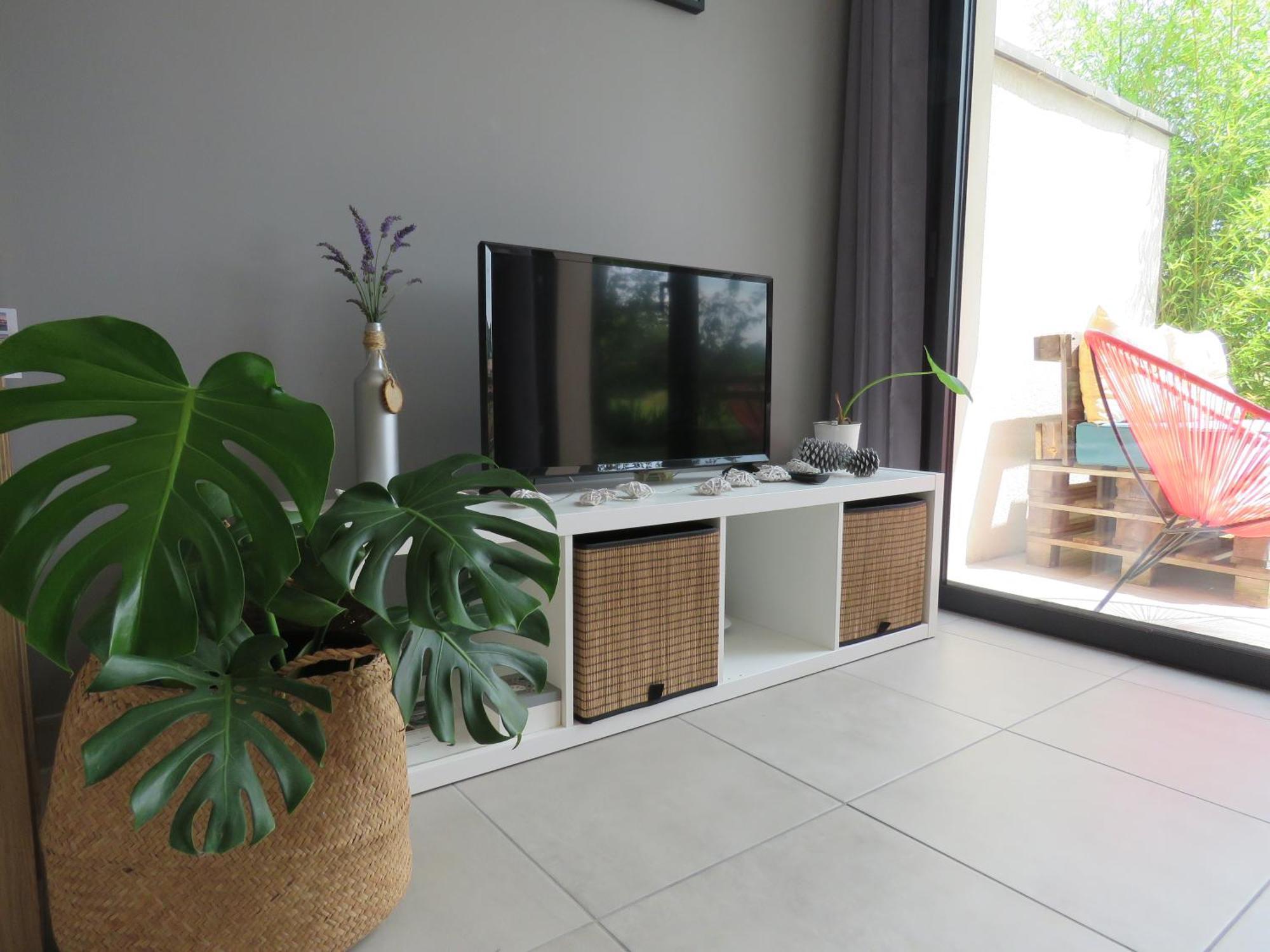 Les Jardins D'Oc - Wifi, Terrasse Et Jardinet - Appart T2 Neuf Soual Bagian luar foto